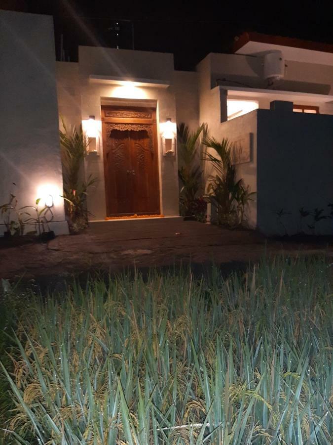 The Satya Villa Ubud Kültér fotó