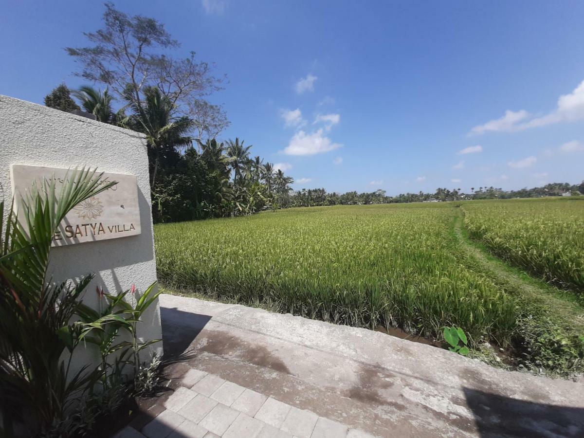 The Satya Villa Ubud Kültér fotó