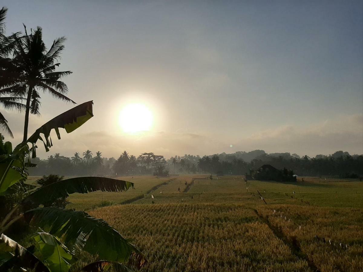 The Satya Villa Ubud Kültér fotó