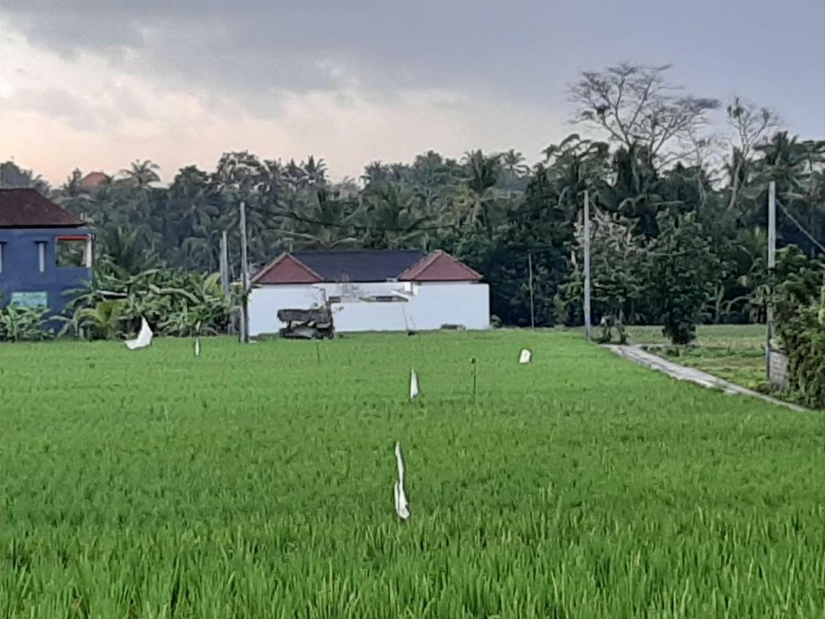 The Satya Villa Ubud Kültér fotó